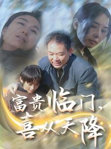 富贵临门，喜从天降（18集）-资源V站