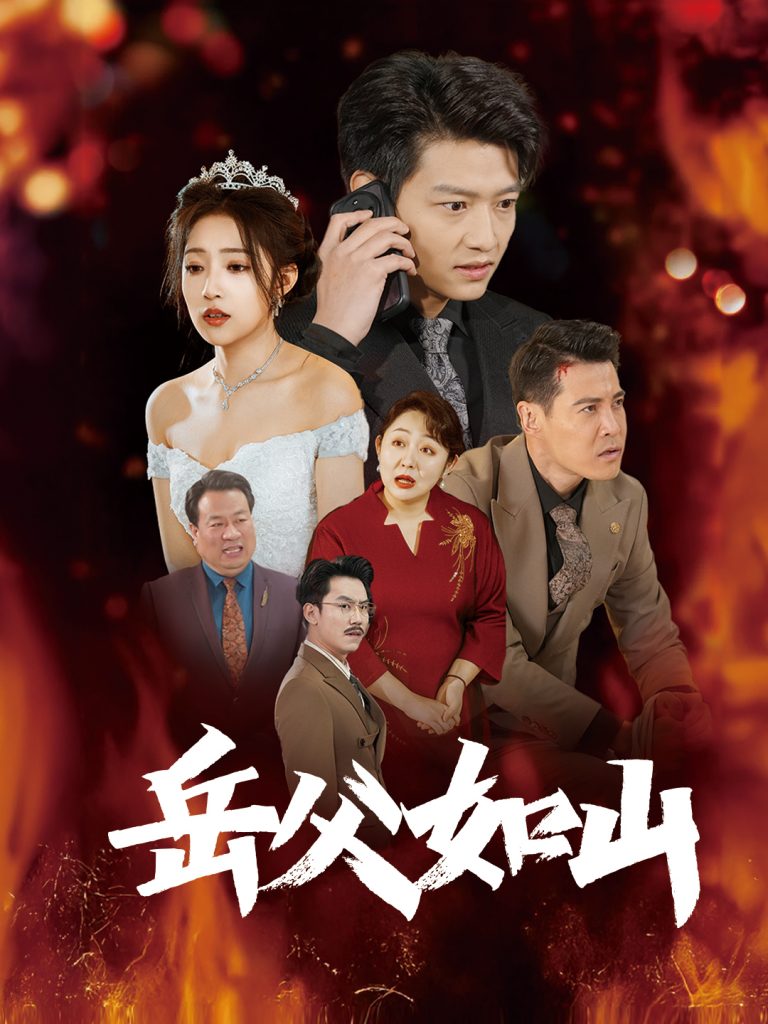 图片[1]-岳父如山＆岳父的礼物（30集）阚梓艺-资源V站