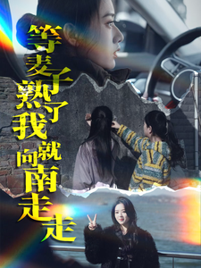 等麦子熟了我就向南走走（41集）-资源V站
