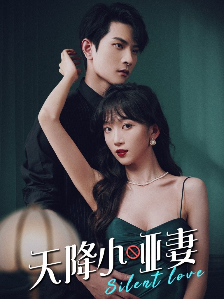 图片[1]-天降小哑妻（80集）-资源V站