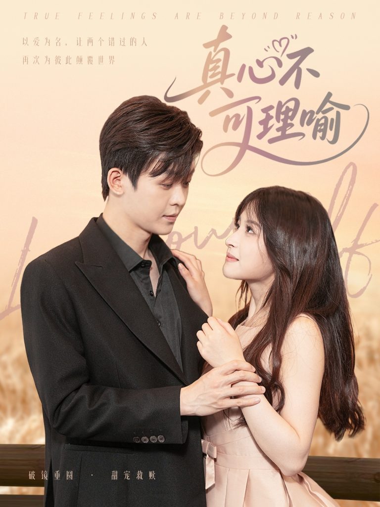 图片[1]-真心不可理喻（81集）廖家昊&赵飞雪-资源V站