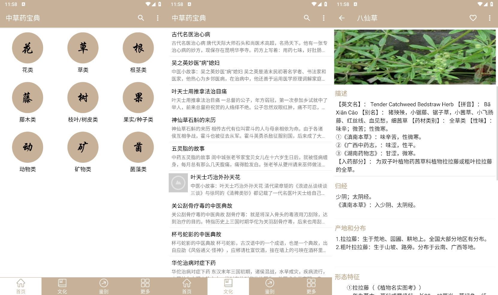 图片[1]-安卓中草药宝典v2.6.12纯净版-资源V站