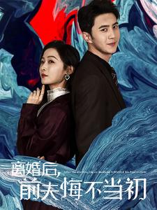 18038-离婚后前夫悔不当初（40集）-资源V站