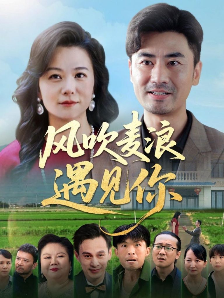 图片[1]-风吹麦浪遇见你（60集）李易泽&李晓-资源V站