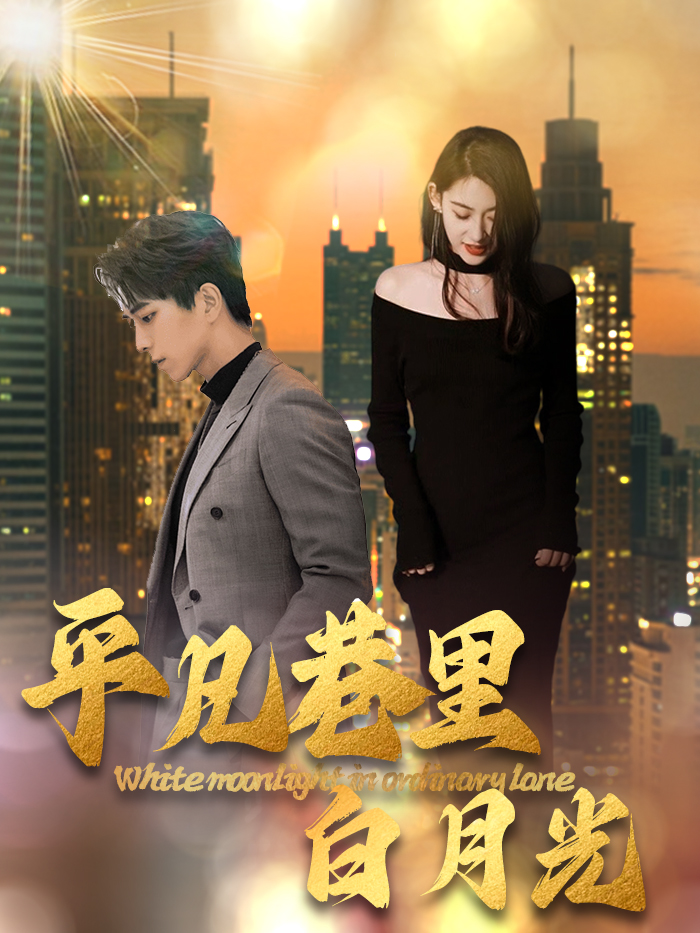 平凡巷里白月光（33集）-资源V站