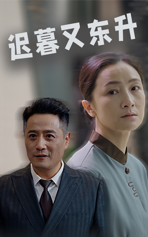 图片[1]-迟暮又东升（35集）-资源V站