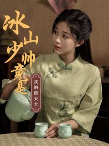 冰山少帅竟是我的傻夫君（86集）-资源V站