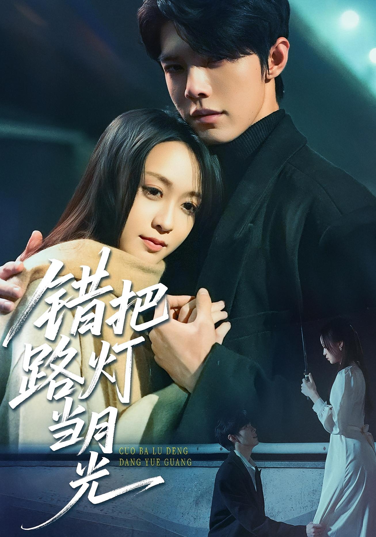 错把路灯当月光（40集）-资源V站