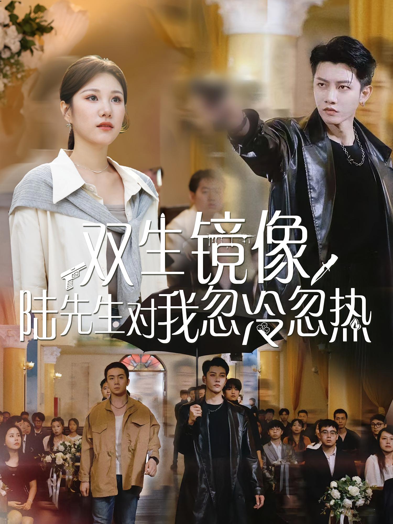 双生镜像陆先生对我忽冷忽热（61集）-资源V站