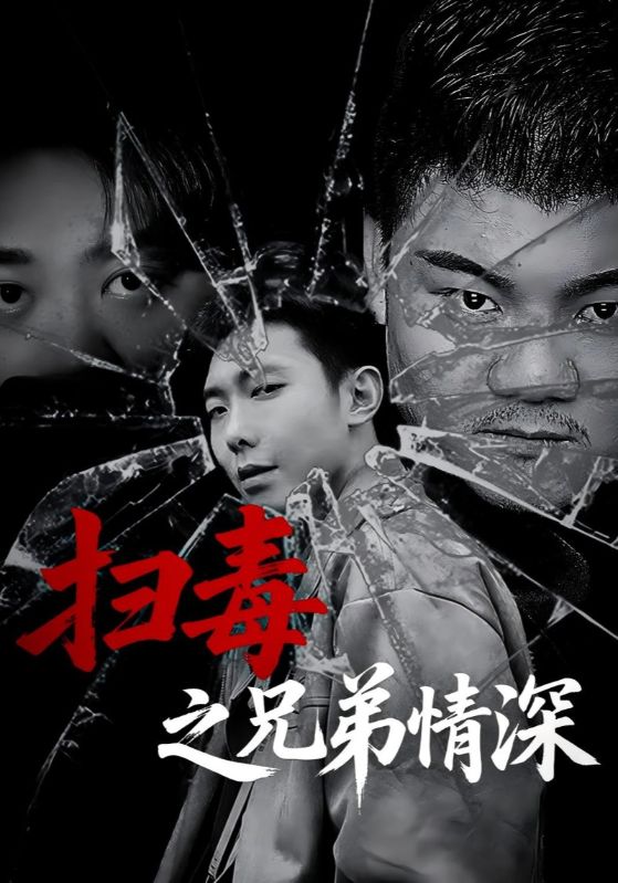 扫毒之兄弟情深(50集)-资源V站