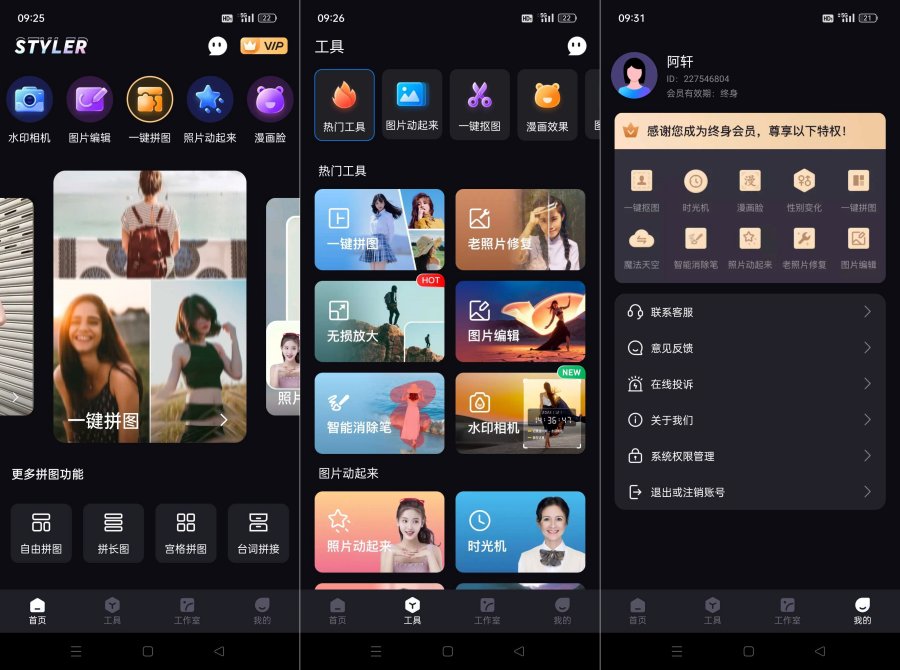 Styler超强AI换脸工具免登录!解锁终身会员-资源V站