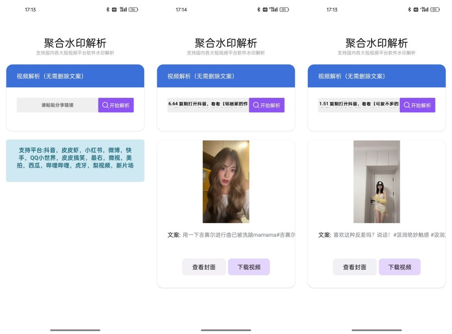 聚合解析v1.2多平台短视频去水印轻松搞定-资源V站