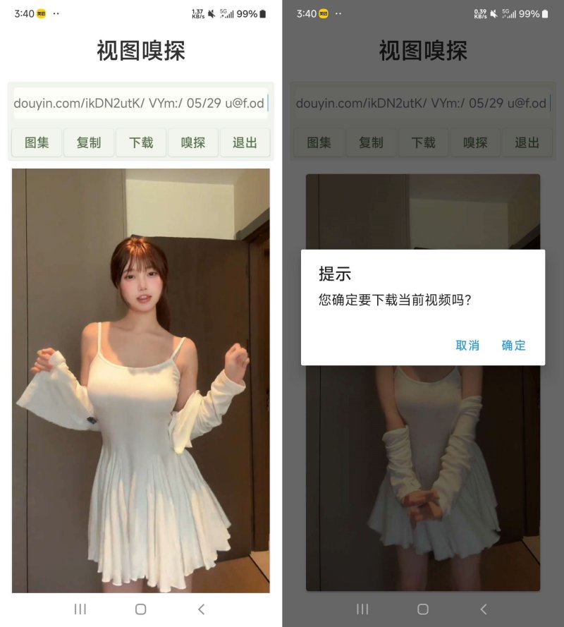 视图嗅探 1.0.0 去除图集 热门短视频水印-资源V站