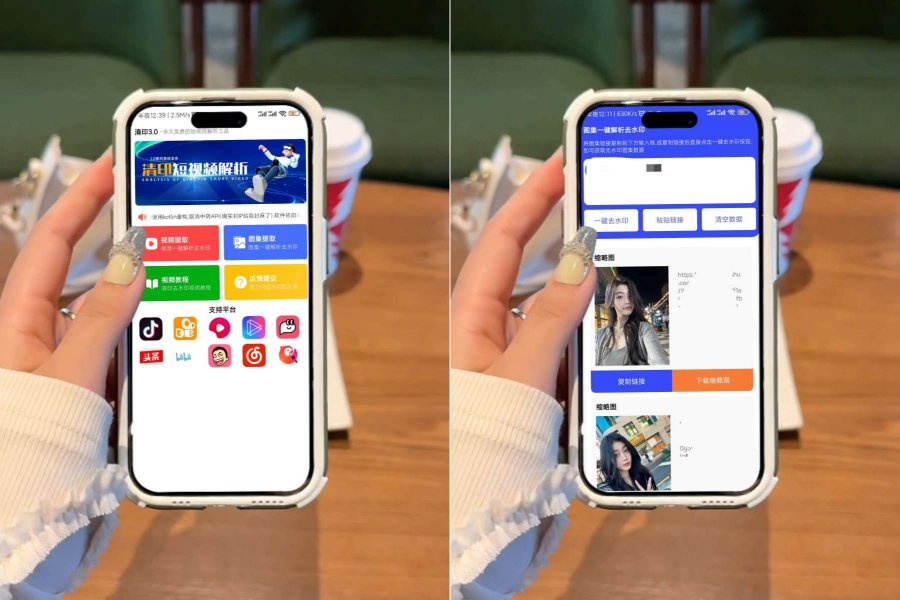 清印3.1.0短视频一键解析工具永久免费-资源V站