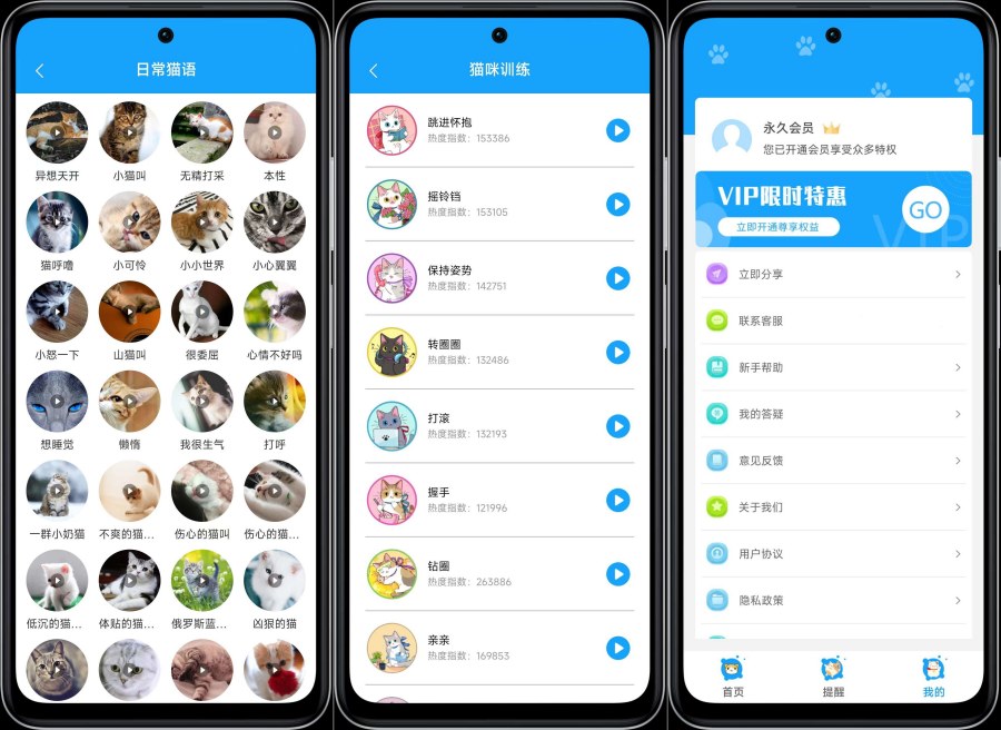 人猫交流神器3.5.7实现人猫语言互译解锁VIP功能-资源V站