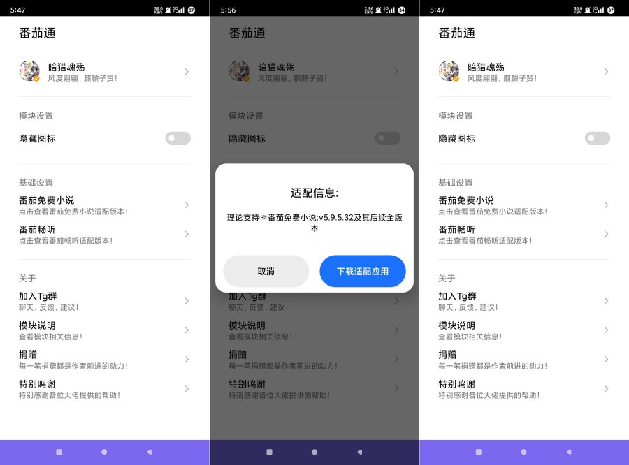 番茄通1.0.8番茄小说番茄畅听VIP解锁模块-资源V站