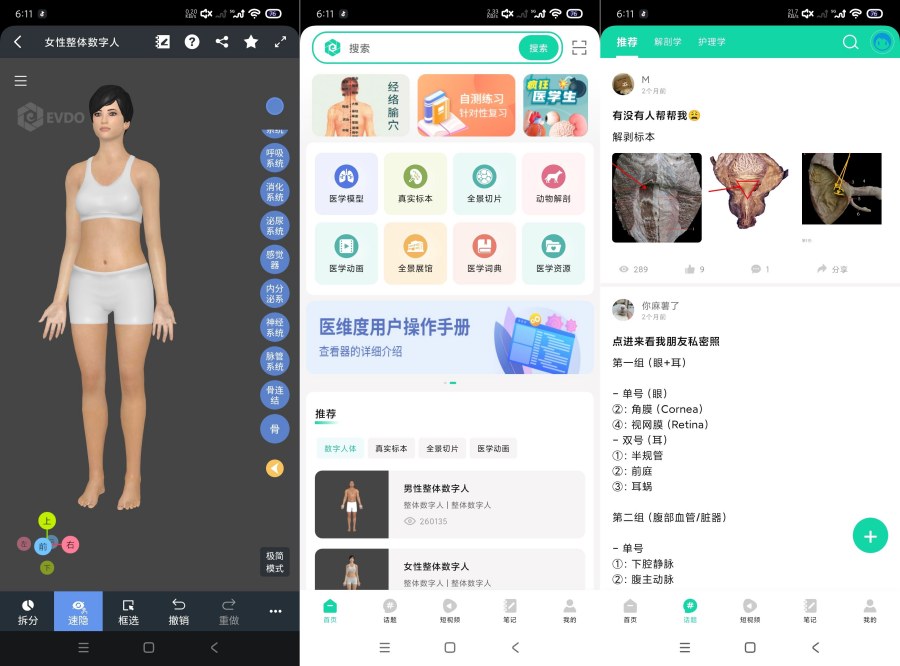 医维度解剖3.3.21一键解刨｜医学知识｜一键脱衣等-资源V站