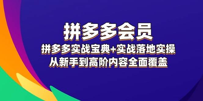 拼多多 会员，拼多多实战宝典+实战落地实操，从新手到高阶内容全面覆盖-资源V站