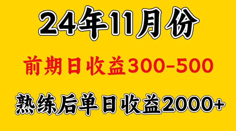 轻资产项目，前期日收益500左右，后期日收益1500-2000左右，多劳多得-资源V站