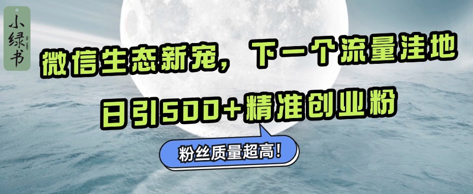 微信生态新宠小绿书：下一个流量洼地，粉丝质量超高，日引500+精准创业粉，-资源V站