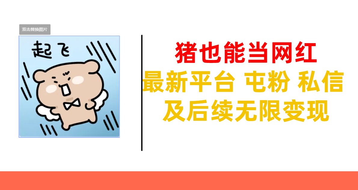 猪也能当网红-最新平台 屯粉 交流 私信 及后续无限变现-资源V站