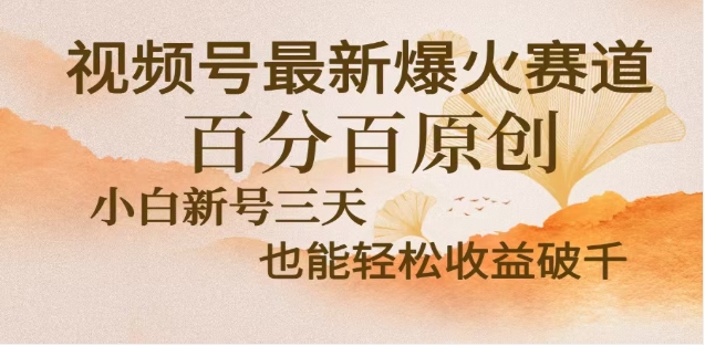 视频号独家玩法，老年养生赛道，无脑搬运爆款视频，日入2000+-资源V站