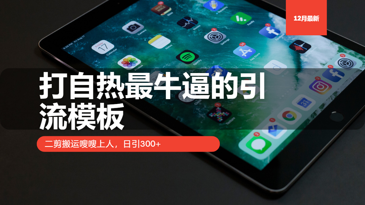 打自热最牛逼的引流模板，日引300+，二剪搬运嗖嗖上人-资源V站