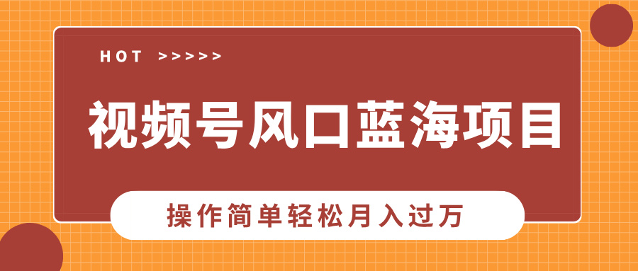 视频号风口蓝海项目，中老年人的流量密码，操作简单轻松月入过万-资源V站