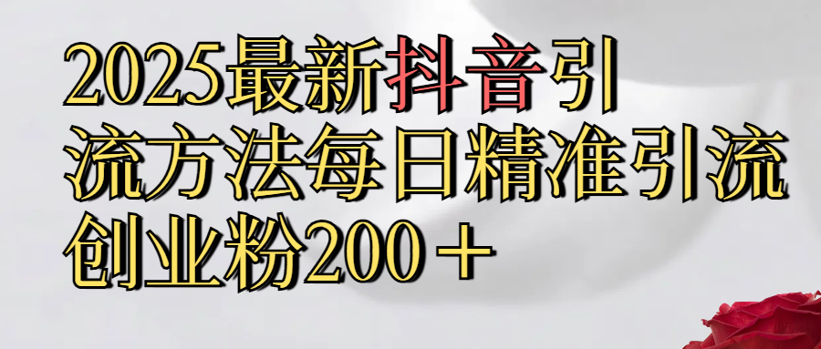 2025最新,抖音引流,方法每日精准引流创业粉300＋-资源V站