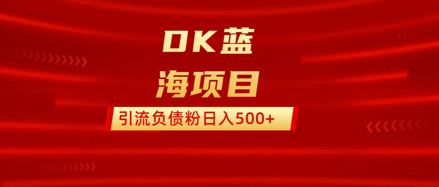 DK蓝海项目  通过，抖音，快手，小红书，引流负债粉日入500+-资源V站