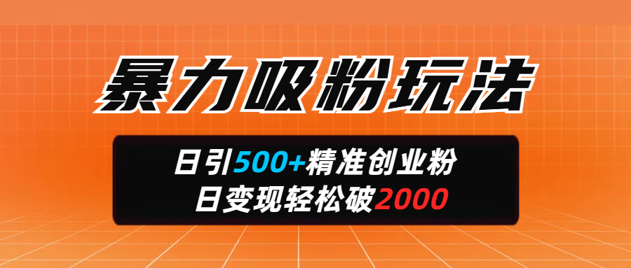暴力吸粉玩法，日引500+精准创业粉，日变现轻松破2000-资源V站