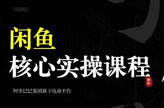 2024闲鱼核心实操课程，从养号、选品、发布、销售，教你做一个出单的闲鱼号-资源V站
