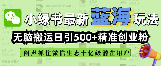 小绿书无脑搬运引流，全自动日引500精准创业粉，微信生态内又一个闷声发财的机会-资源V站