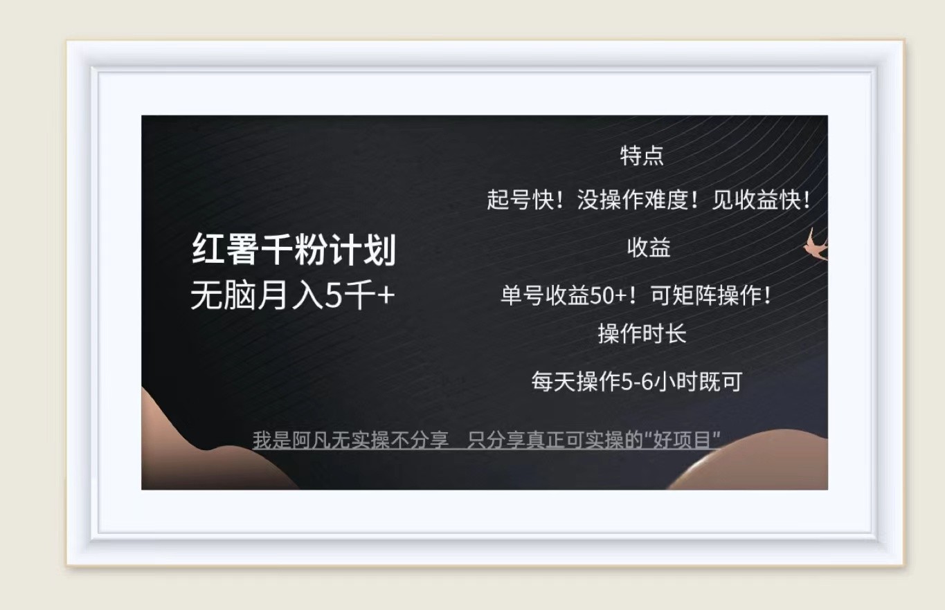 红薯千粉计划无脑月入5千+！既做既赚！-资源V站