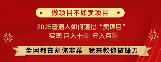 必看，做项目不如卖项目，2025普通人如何通过“卖项目”实现月入十个，年入百个-资源V站