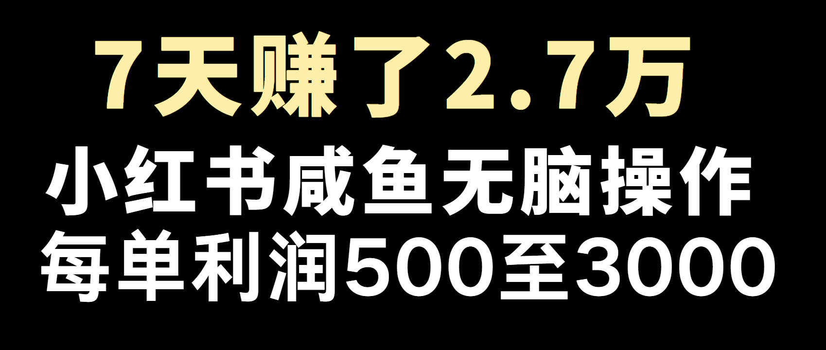 全网首发，7天赚了2.6万，2025利润超级高！-资源V站