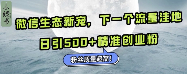 微信生态新宠小绿书：下一个流量洼地，日引500+精准创业粉，粉丝质量超高-资源V站