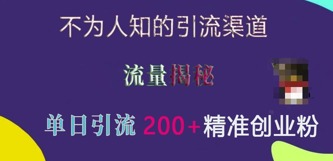 不为人知的引流渠道，流量揭秘，实测单日引流200+精准创业粉【揭秘】-资源V站