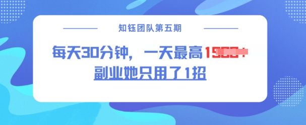 副业她只用了1招，每天30分钟，无脑二创，一天最高1.5k-资源V站