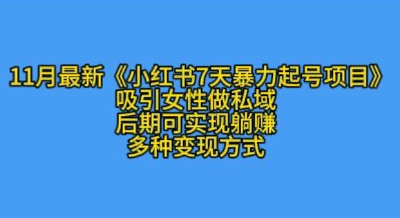 K总部落11月最新小红书7天暴力起号项目，吸引女性做私域【揭秘】-资源V站