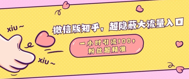 微信版知乎，超隐蔽流量入口1小时引流100人，粉丝质量超高【揭秘】-资源V站