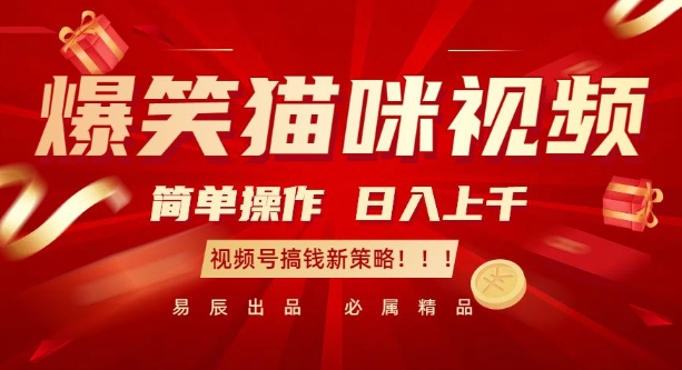 爆笑猫咪视频：简单操作，日入过K，视频号搞钱新策略【揭秘】-沐羽项目网