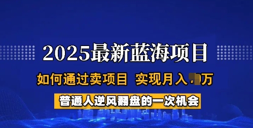 2025蓝海项目，普通人如何通过卖项目，实现月入过W，全过程【揭秘】-资源V站