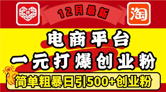 12月最新：电商平台1元打爆创业粉，简单粗暴日引500+精准创业粉，轻松月入过W【揭秘】-资源V站