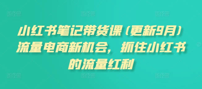 小红书笔记带货课(更新25年1月)流量电商新机会，抓住小红书的流量红利-资源V站
