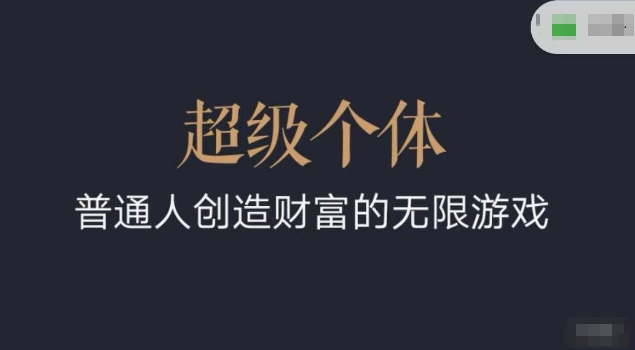 超级个体2024-2025翻盘指南，普通人创造财富的无限游戏-资源V站