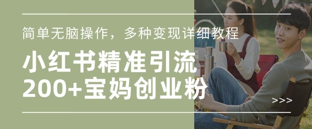 小红书混剪日引200+宝妈创业粉，简单无脑操作，多种变现详细教程-资源V站