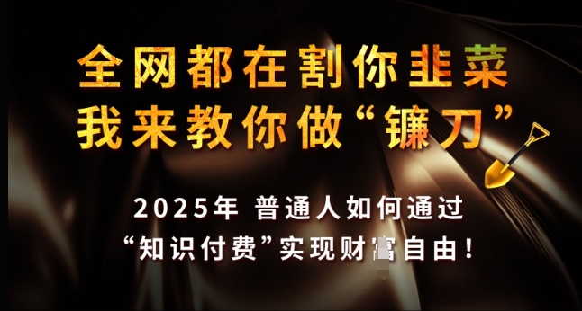 全网都在割你韭菜，我来教你做镰刀，2025年普通人如何通过 知识付费 实现财F自由【揭秘】-资源V站