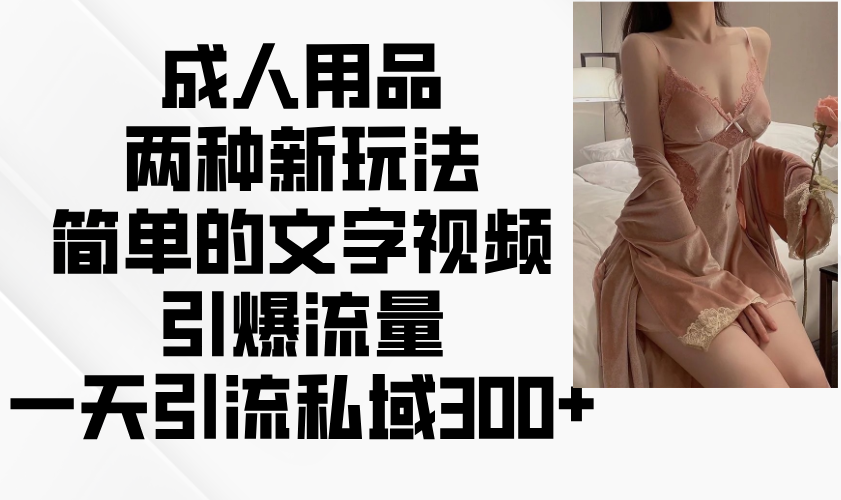 成人用品两种新玩法，简单的文字视频引爆流量，一天引流私域300+-资源V站