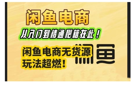 闲鱼电商实战课，从入门到精通秘籍在此，闲鱼电商无货源玩法超燃!-资源V站